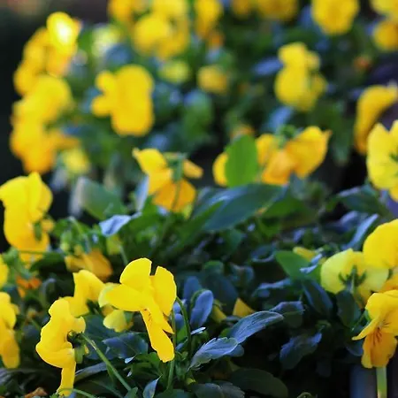 게스트하우스 Garage Con *